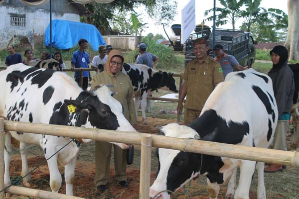 Kuningan Sudah Layak Punya Pasar Sapi