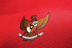 Eks Timnas U-23 Gabung TNI AD