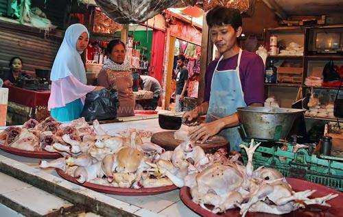 Idul Adha, Harga Daging Ayam Turun