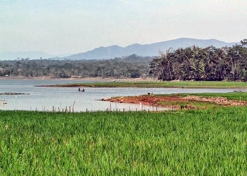 Warga Bertani di Tengah Waduk Darma