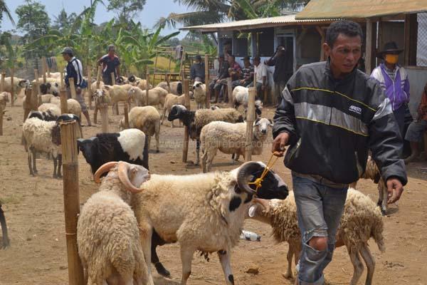 Penjualan Hewan Kurban Kecewa