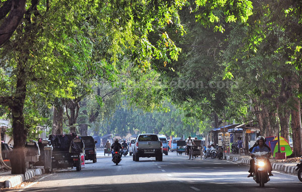 DKP Kota Mulai Pangkas Pohon Rawan Tumbang