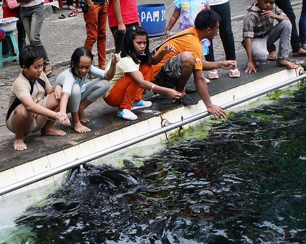 Serunya Mancing Ikan Dewa di Cibulan