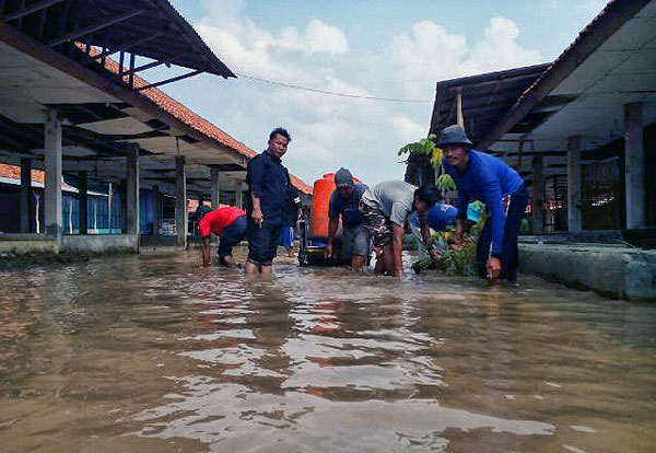 Pasar Tegalgubug Banjir, Pedagang Berebut Cari Ikan Lele