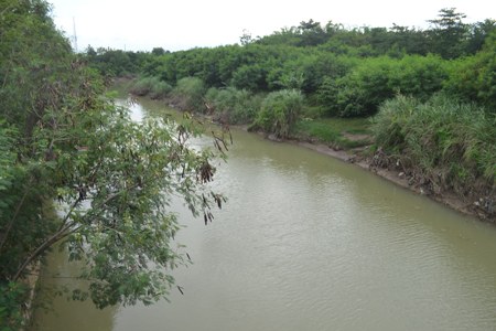 Air Sungai Jadi Asin, Petani Pangenan Berharap Dibangun Bendungan Karet
