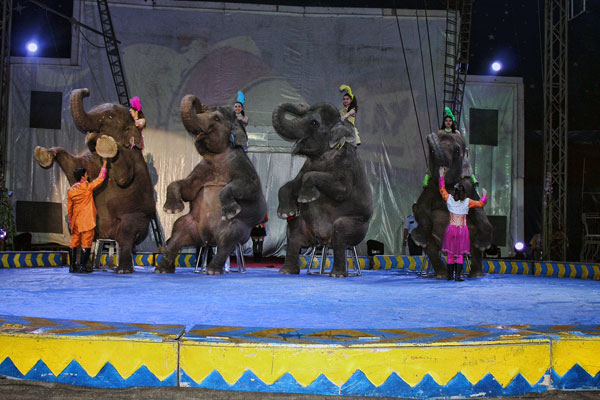 Oriental Circus Indonesia Siap Hibur Warga Cirebon