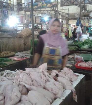 Alhamdulillah, Harga Daging Ayam Sudah Turun Drastis
