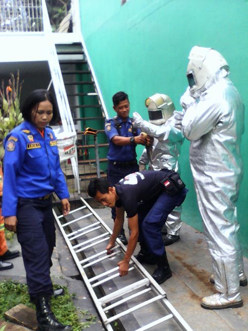 Damkar yang Baik Hati,  2 Kali Jinakkan Sarang Lebah