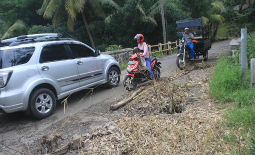 Sudah Sebulan Warga Tanam Pisang di Jalan Taraju Sindangagung