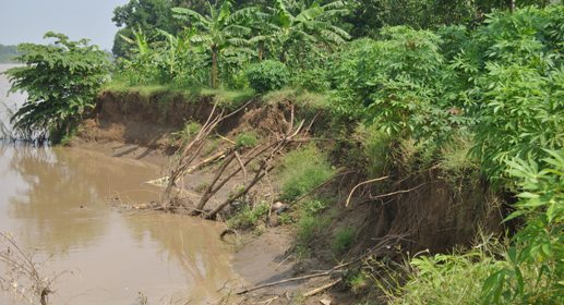 Tanggul Cimanuk Longsor Lagi, Nasib Warga Lobener Terancam