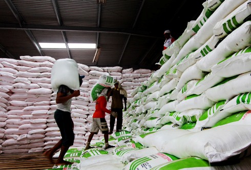 Pupuk Urea untuk Petani Indramayu Baru 46.248 Ton