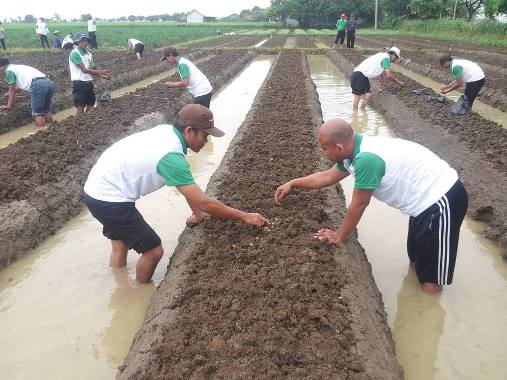 30 Penyuluh Lapangan Dilatih Tanam Bawang