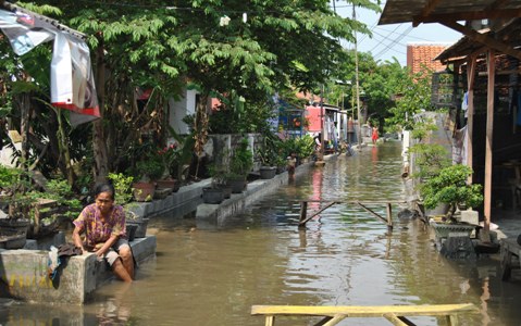 Padahal Hujan Tidak Deras, Puluhan Rumah di Patrol Tetap Banjir