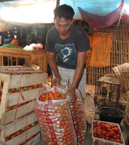 Cuaca Ekstrem, Harga Sayuran Naik Dua Kali Lipat