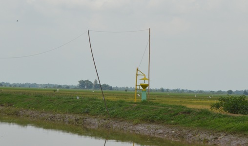 Kendalikan Hama Sawah dengan Lamp Trap