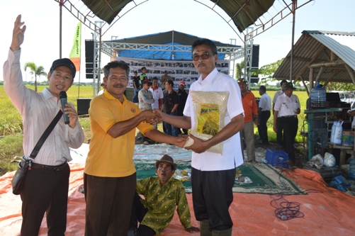 Dharma Kencana Rambah Usaha Beras Sehat Kemasan