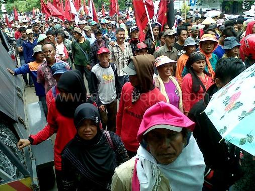 Buta Huruf, Sukandi Dituding Curi Kayu Perhutani