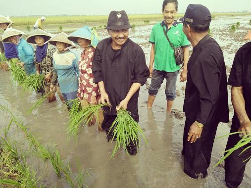 Tanam Padi,  Wabup Gotas Dicecar Keluhan Pembangunan