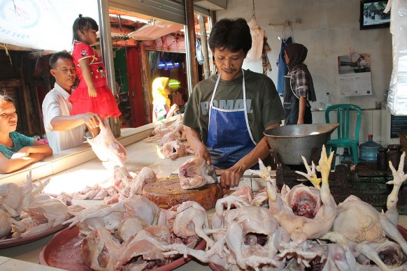 Permintaan Ayam Potong Naik Sejak Sebelum Ramadan