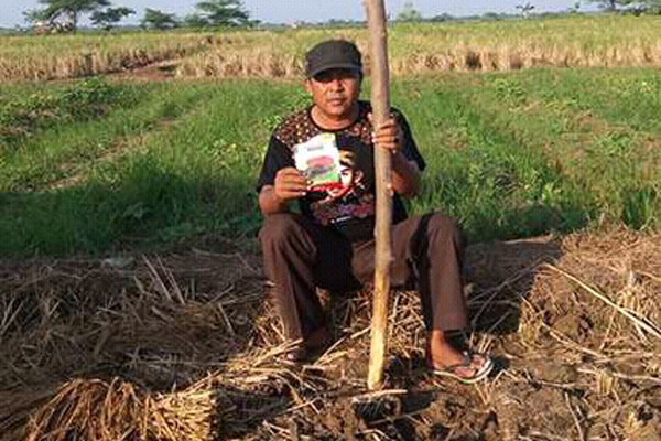 Petani Pantura Beralih Tanam Semangka Inul