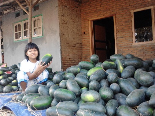 Jelang Berbuka, “Semangka Inul” Jadi Primadona