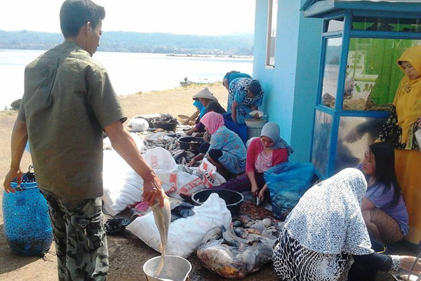 Ikan Mati Masal, Waduk Darma Mendadak Jadi Tempat Pelalangan