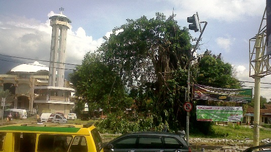 Tanpa Pohon Tua, Pemudik asal Cilimus Nyasar