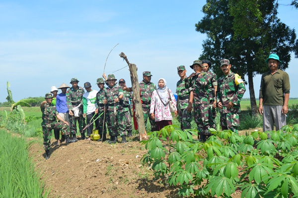 19 Calon Perwira TNI-AD Ikut Basmi Hama Tikus