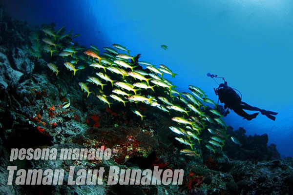 Liburan ke Manado? Inilah 10 Destinasi Yang Perlu Anda Tengok