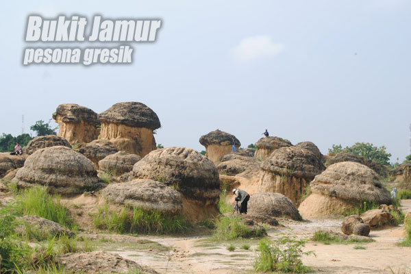 Mudik ke Gresik ? Kota Industri punya Surga Wisata Tersembunyi