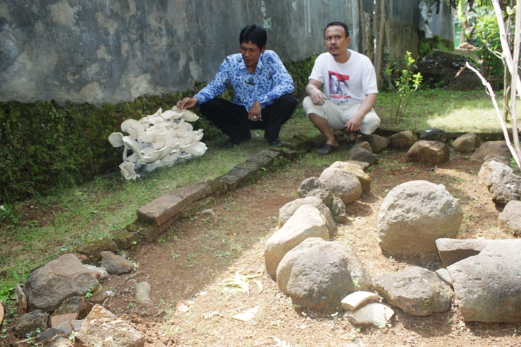 Heboh, Jamur Aneh Tumbuh di Makam Keramat Dewi Sri Kuning
