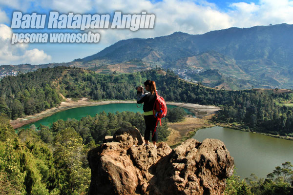 Mudik ke Wonosobo? Ada Kebun Teh Tambi di Kaki Dieng