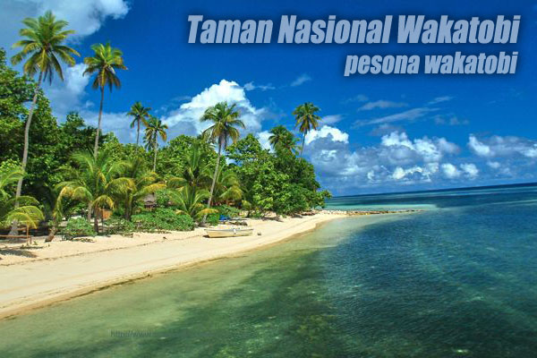 Dongkrak Kunjungan Wisman ke Destinasi Wakatobi dengan Festival Pulau Tomia