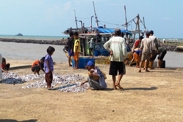 Hasil Tangkapan Nelayan Subang Turun 30 Persen