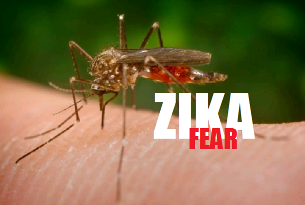 Maskapai Ikut Sosialisasi Tentang Virus Zika
