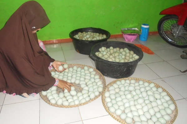 Santri Al Burhan Cikijing Produksi Telur Asin