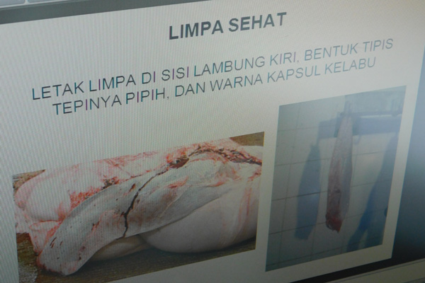 Deteksi sejak Awal, Daging di Kota Cirebon Aman Dikonsumsi