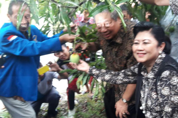 Senang Gedong Gincu, SBY Malah Diminta Petik Sendiri