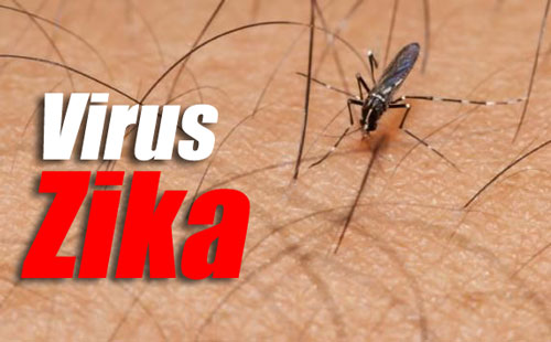 1 WNI di Singapura Kena Virus Zika, Identitas Dirahasiakan