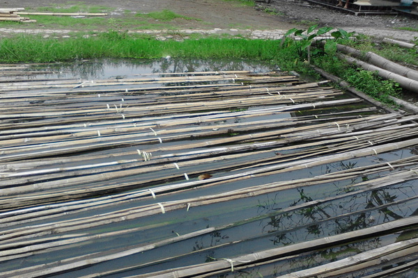 Tahan Lama, Bambu Petung Diminati Lagi
