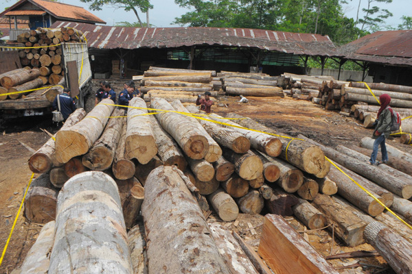 Hukum Lemah, Illegal Logging Sulit Dihentikan