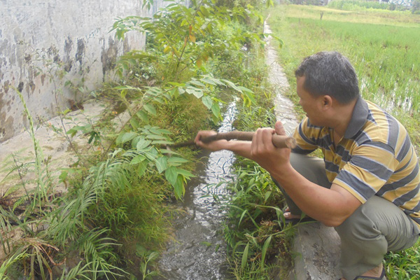 Sampah di Majalengka Kulon Sumbat Irigasi