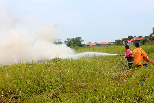 Lahan Tak Produktif Mudah Terbakar, Damkar Bertindak Cepat