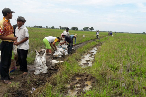 Cegah Hama, Warga Balongan Perbaiki Saluran