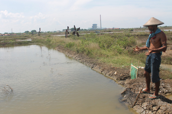 Lahan Garam Disulap Jadi Tambak Udang dan Bandeng