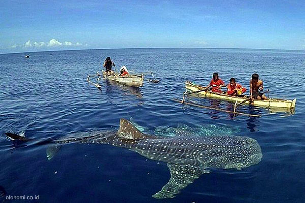 Ayo Ke Gorontalo, Bercengkrama Dengan Hiu Paus