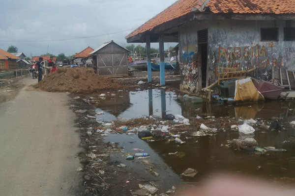 Mangrove di Desa Ambulu Belum Mampu Tahan Banjir Rob