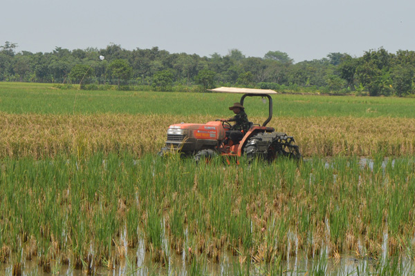 Traktor R4 Solusi Bagi Petani Jatibarang