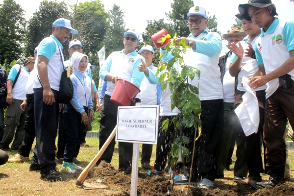 Hari Menanam Pohon Indonesia, Tanam Seribu Pohon di KRK