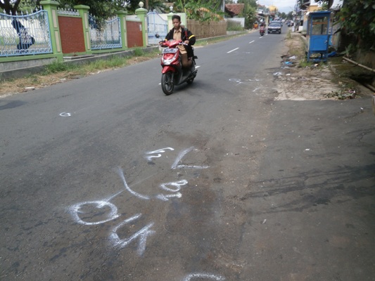 “Adu Bagong”, Tiga Pengendara Motor Tewas, Satu Lagi Kritis